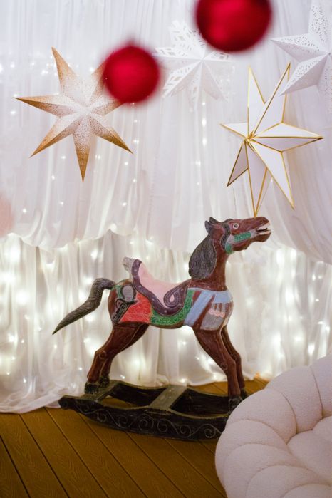 Szklarnia fotograficzna | Świąteczne sesje zdjęciowe