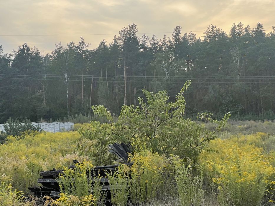 ЩАСЛИВЕ Продається Пейзажна Ділянка 15 соток вул. Соснова 70000$