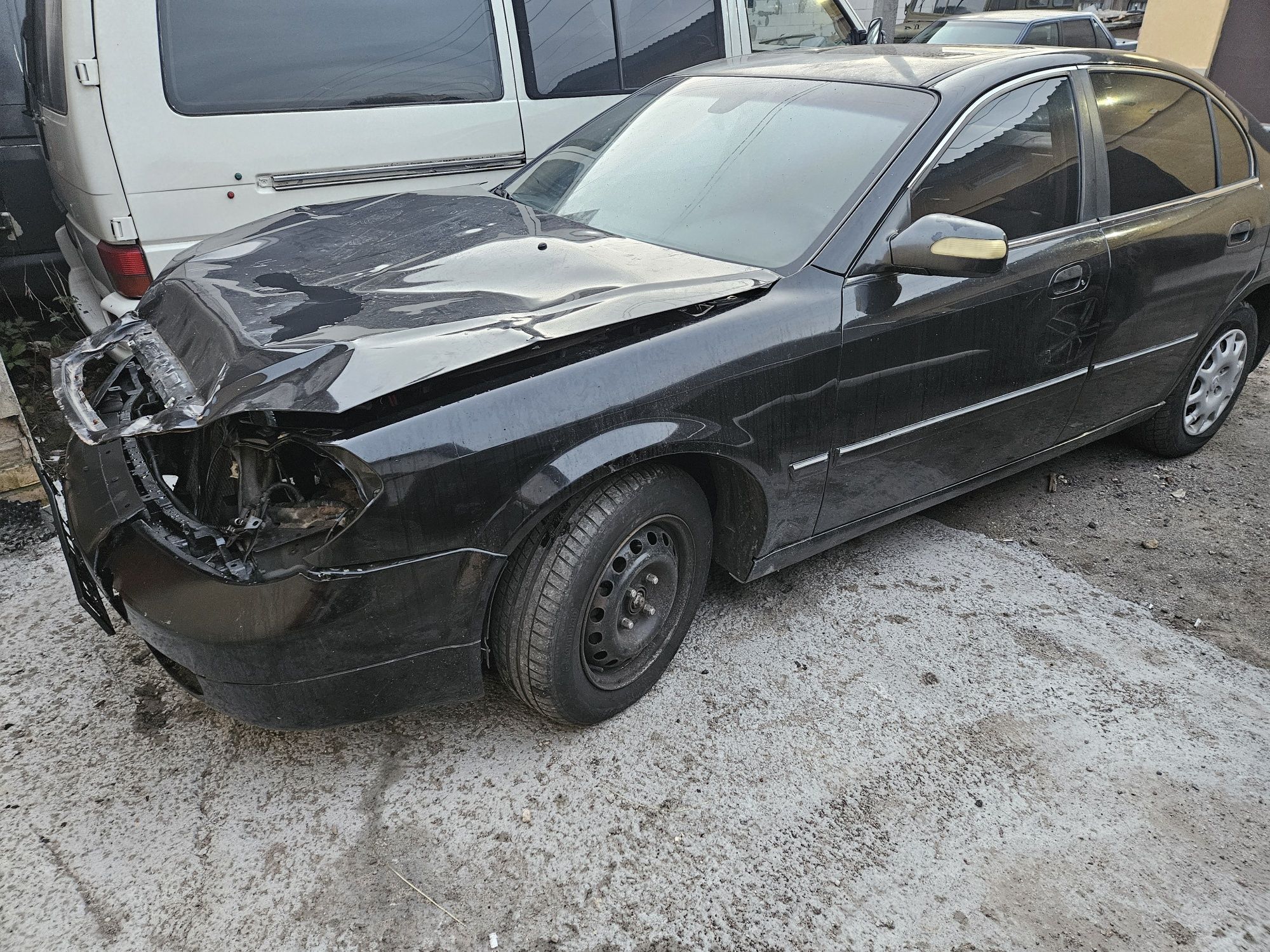 Двері Chery Eastar