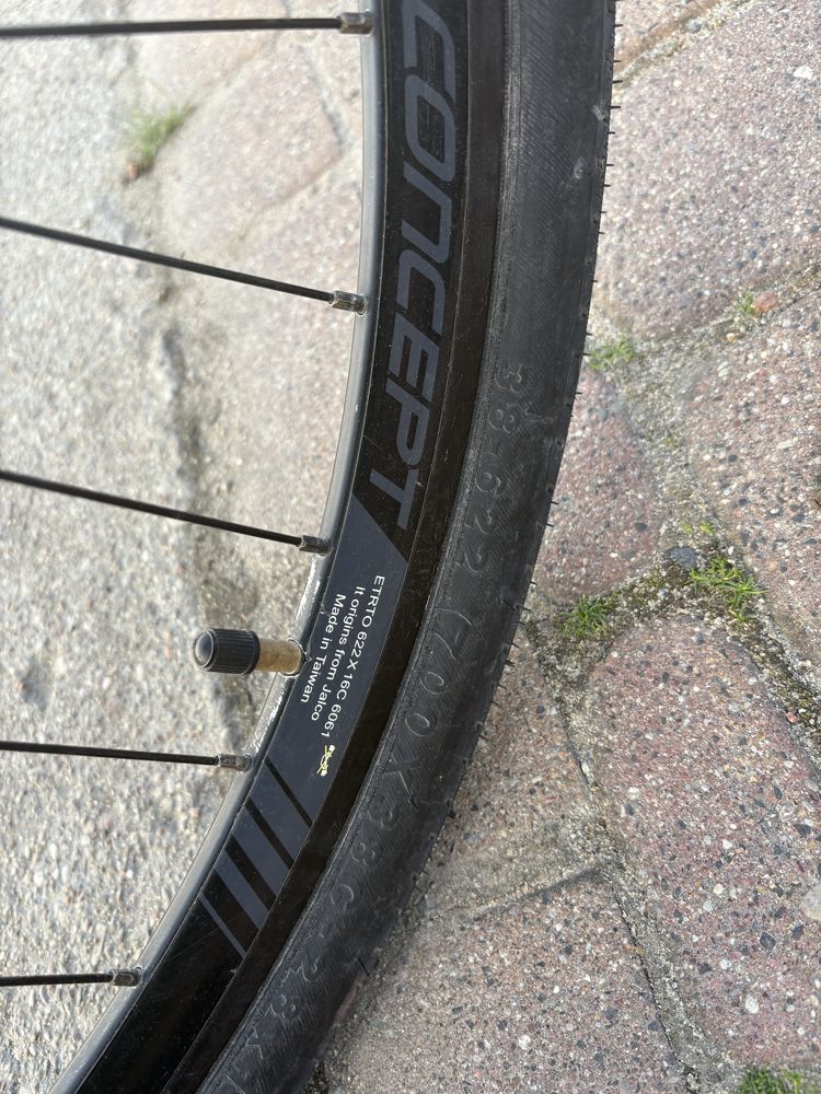 Piękny focus arriba gravel fitness