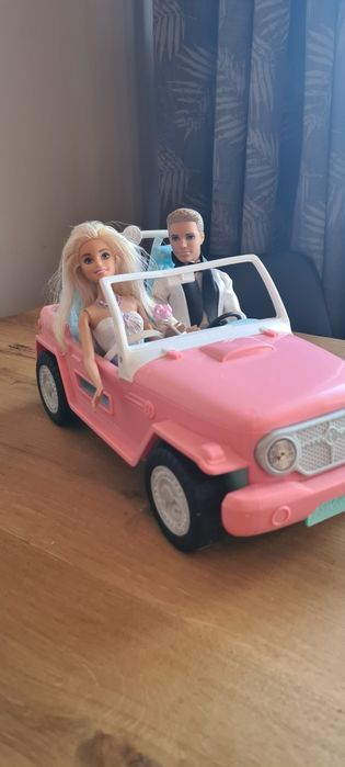 Zestaw 6 lalek samochód i alcesoroa Mattel Disney Barbie Ken