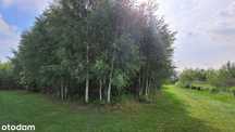 Działka budowlana 850m2 z MPZP - Dachowa gm. Kórnik,