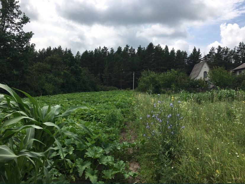 Продам земельну ділянку 20 сот