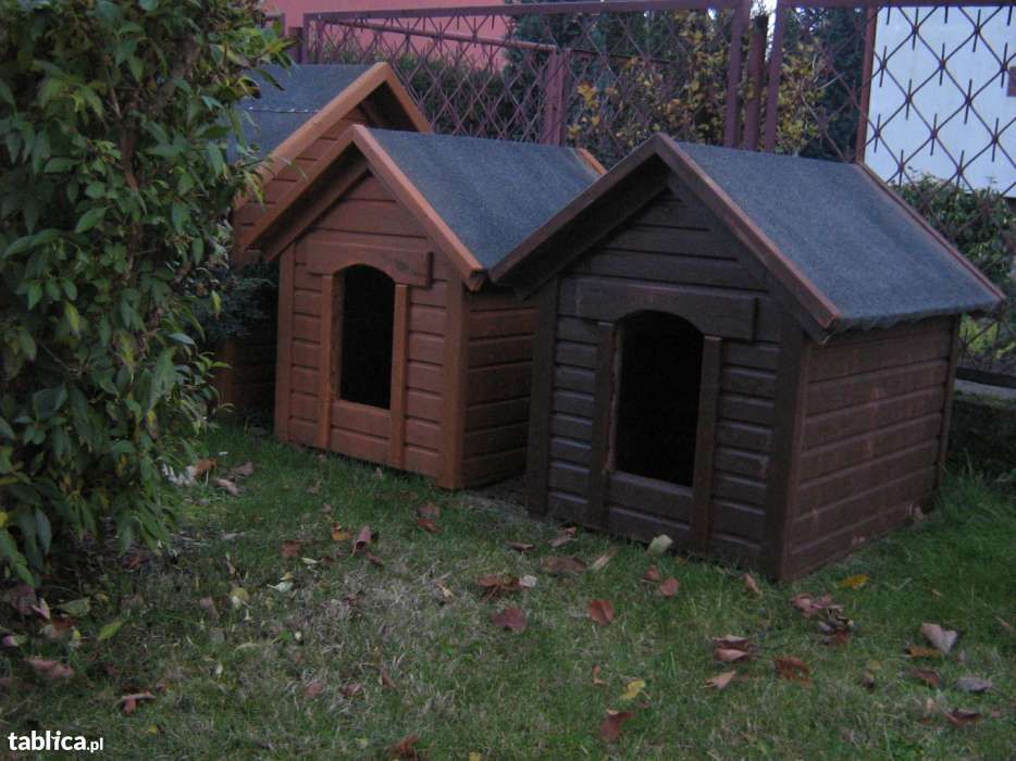 buda dla psa,spaniel,begel