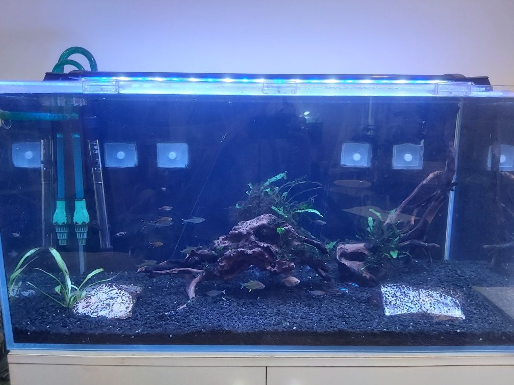Aquário/terrário extra claro completo