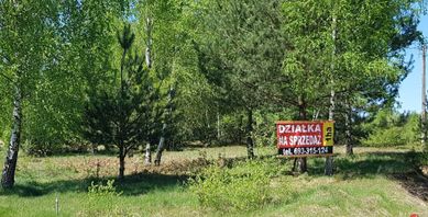 działka budowlana z lasem, Taurów, Jeżów pow. brzeziński