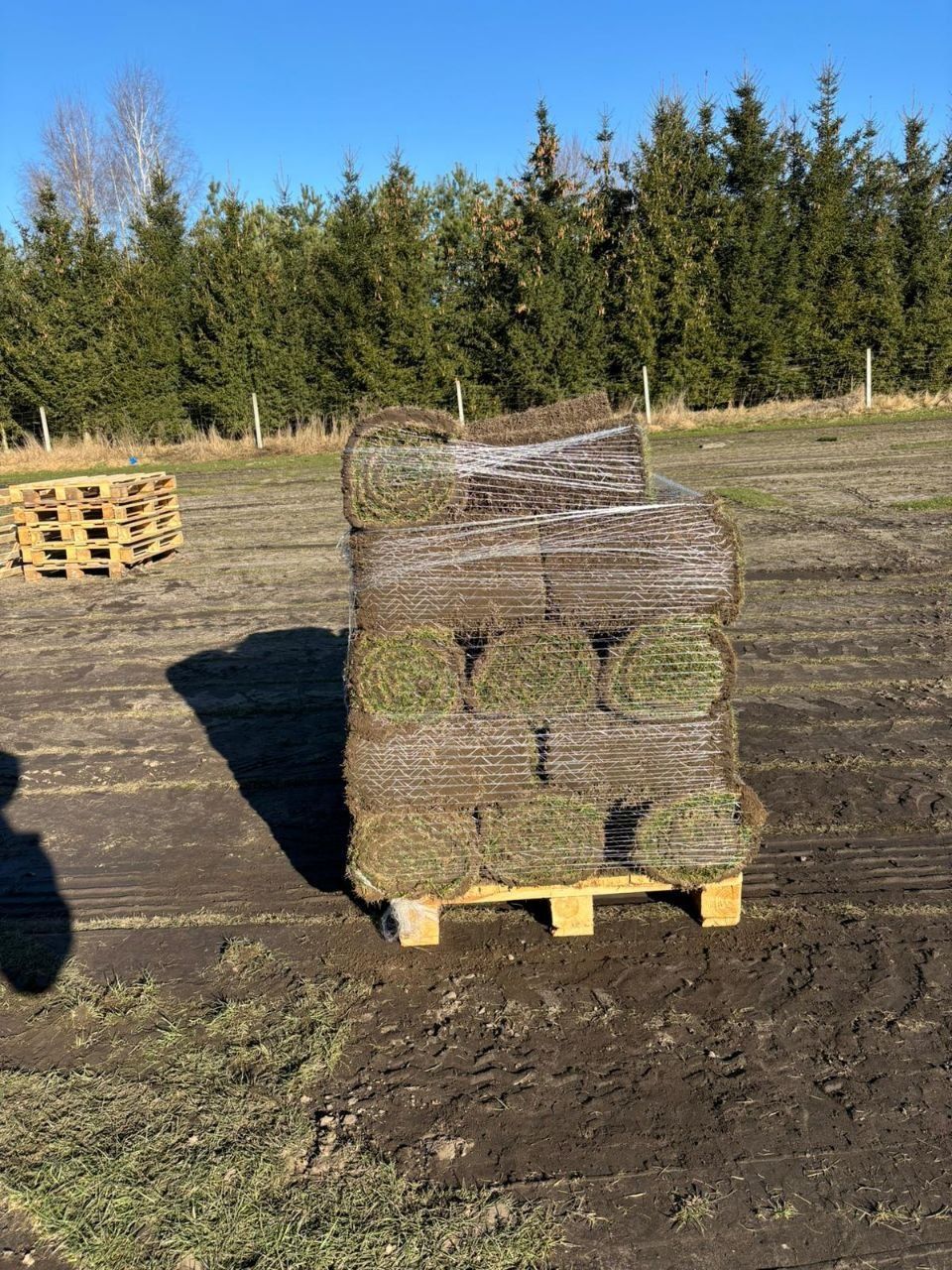 Trawa z rolki "Premium" – plantacja (*montaż)