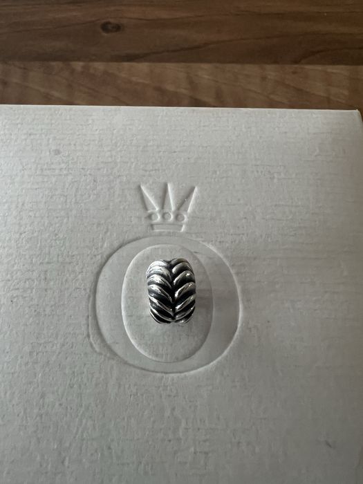 Charms firmy Pandora