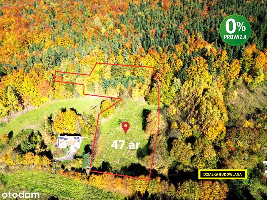 Widokowa działka z własnym lasem! - pod dom, domek weekendowy, domki