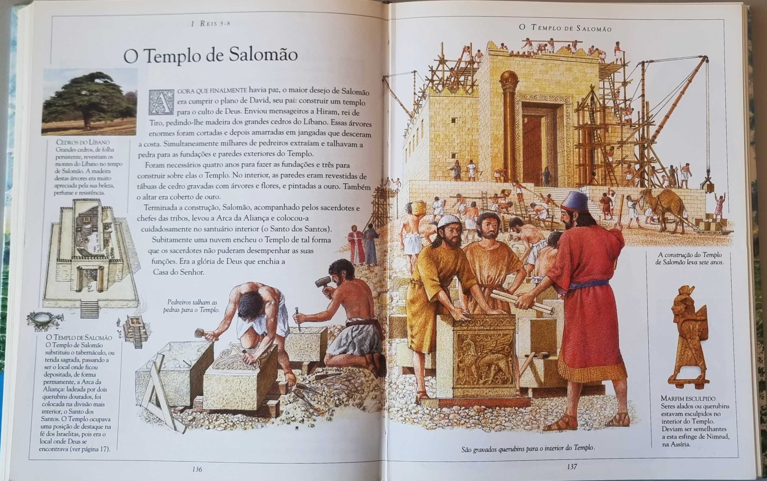 Bíblia Ilustrada DK