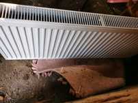 Grzejnik Purmo 120x50