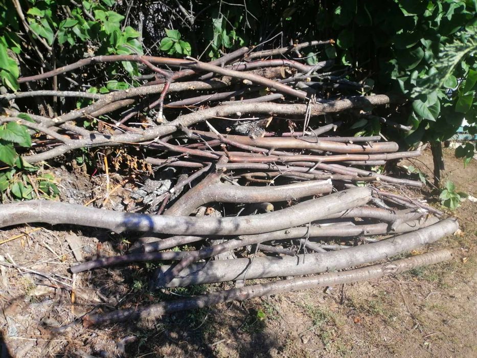 Дрова, гілки горіх