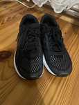 New Balance Fresh Foam Arishi