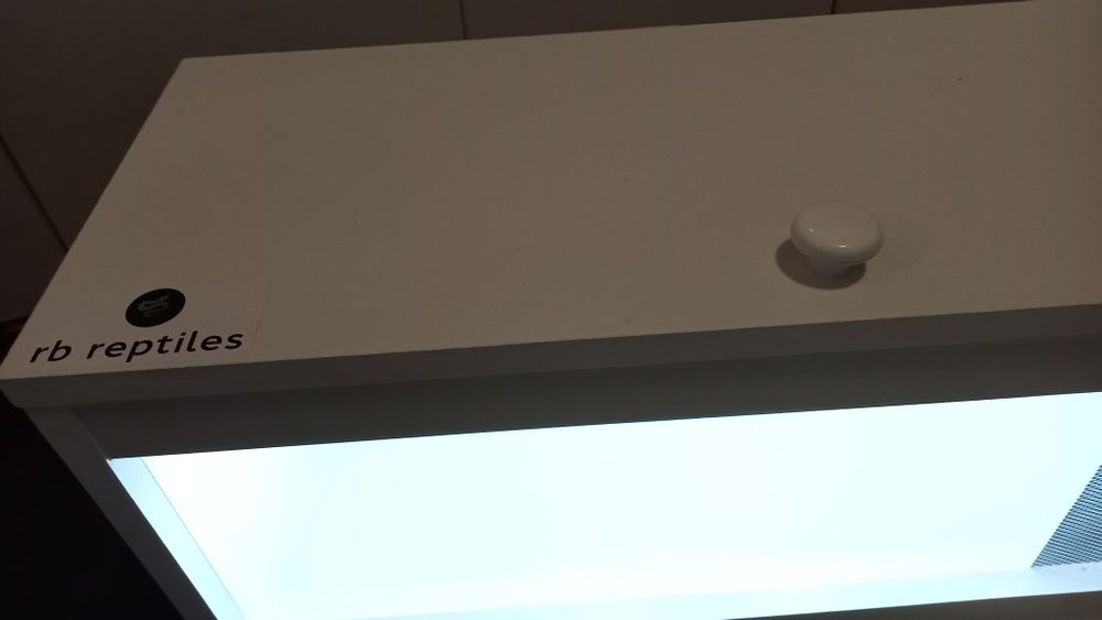 Terarium dla węża, gada, żółwia