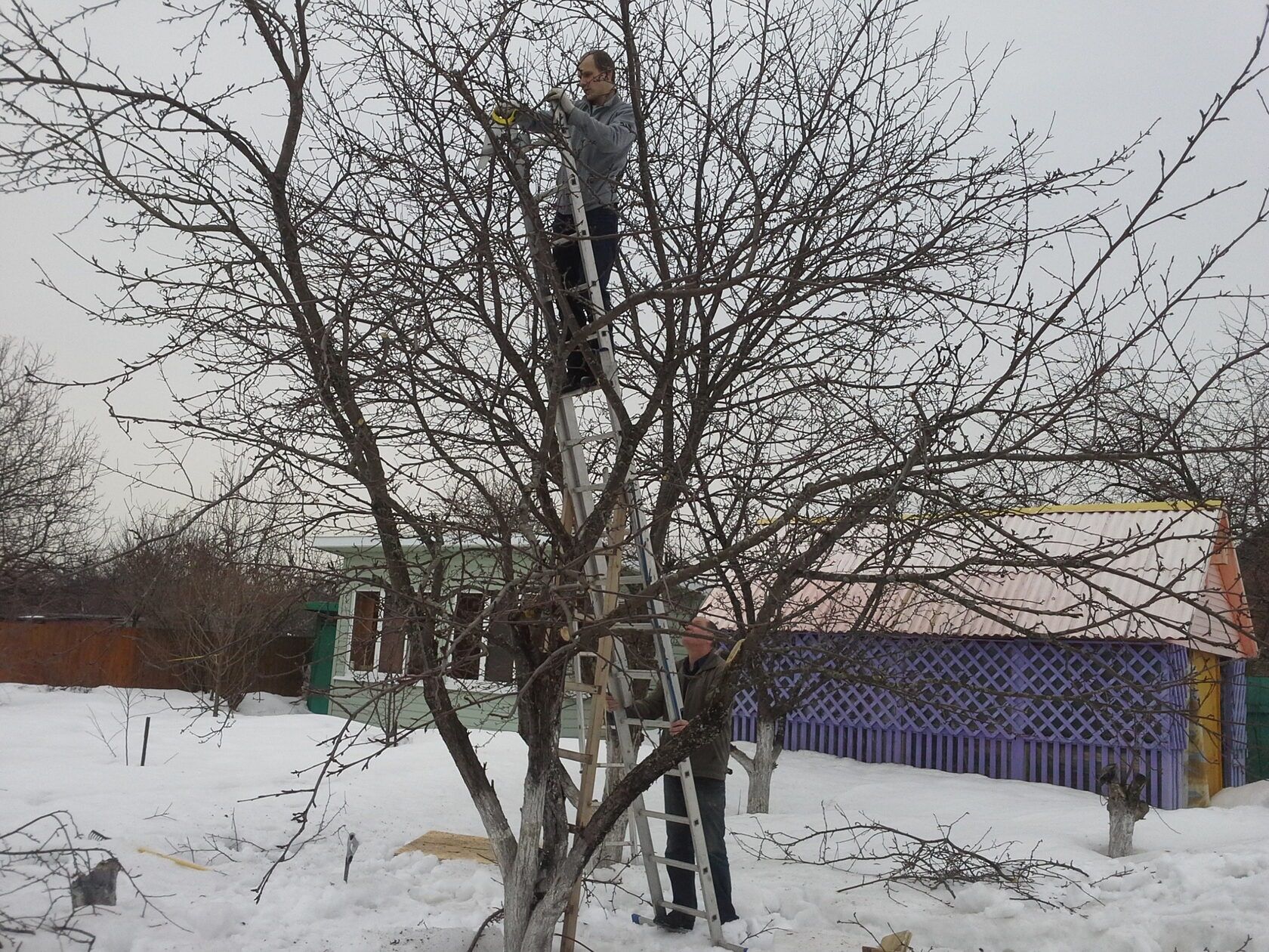 Садовник обрезка деревьев кустов,покос травы, обработка на сезон.