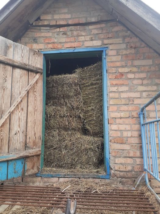 Тюки сіна та соломи