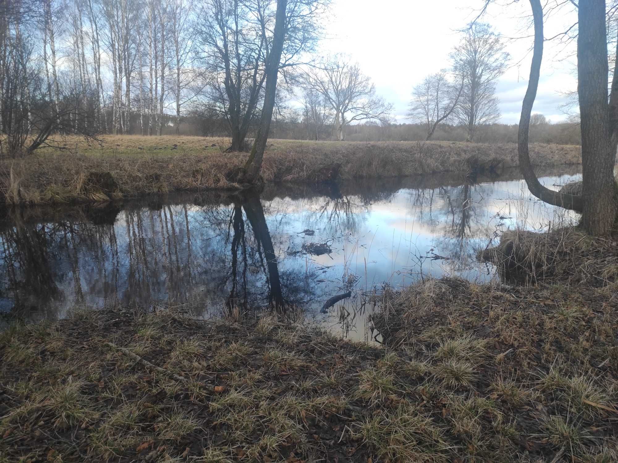 Działka budowlana SPORE / okolica Szczecinek