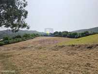 Terreno Lamas