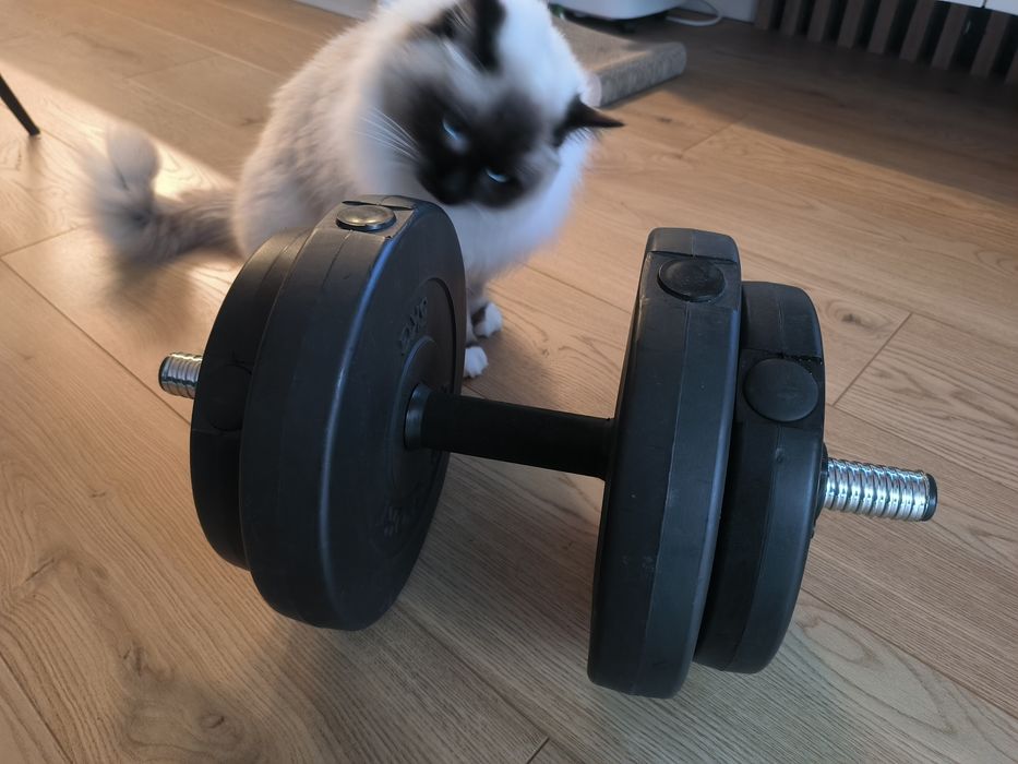 Hantel bitumiczny 15kg