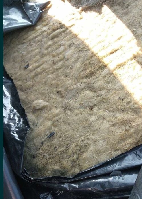 Wełna mineralna 20 cm, twarda w płytach, NOWA