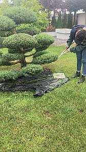 Pan Ogrodnik Ogrodnik, prace ogrodowe, przycinanie drzew, automatyczne