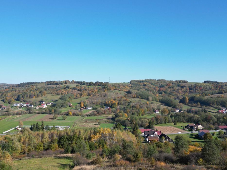Na sprzedaż działka 56 arów  Żyznów