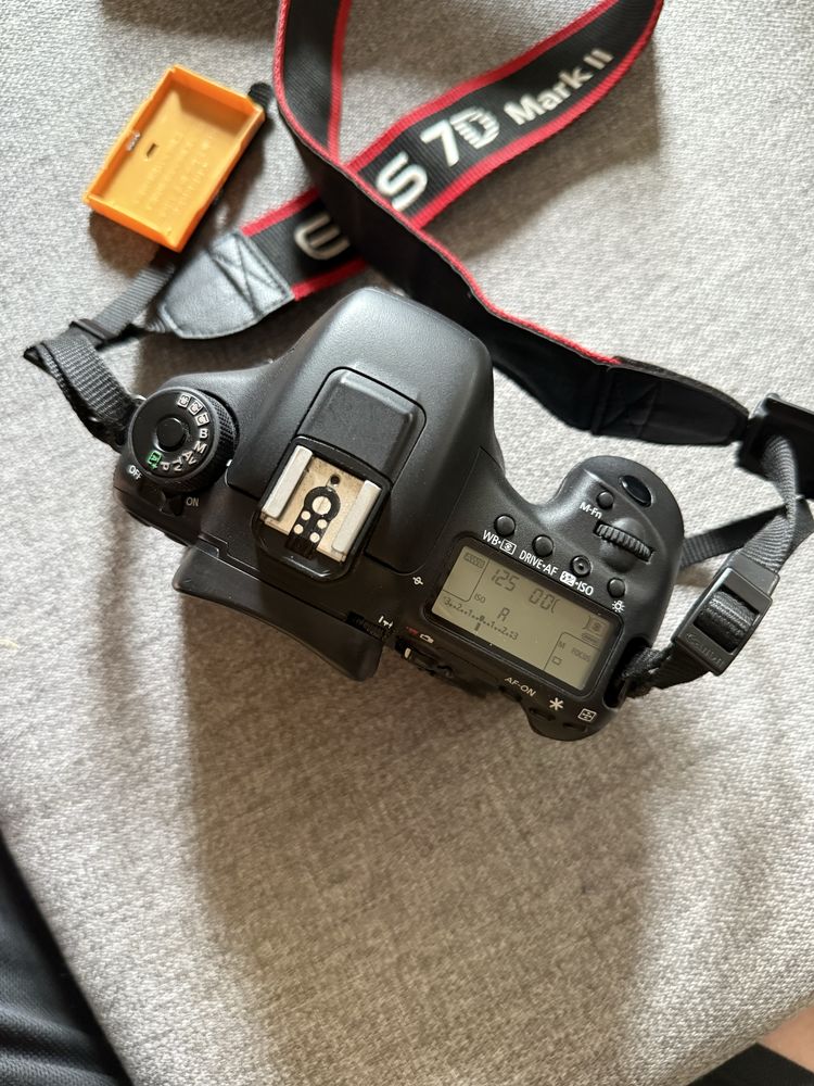 Canon 7D Mark II + Canon 18-135mm f3.5