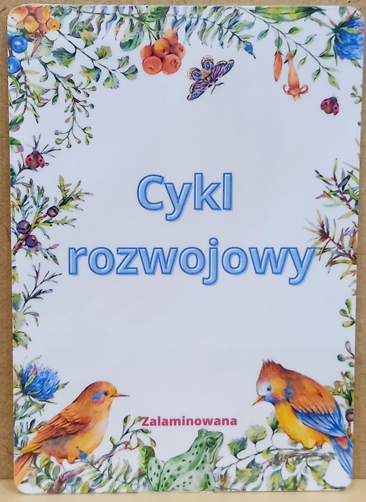 Cykl rozwojowy motyla, fasoli, żaby, żółwia