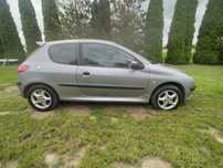 Peugeot 206, 2002 rok