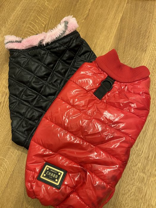 Ubranko dla psa plus gratis