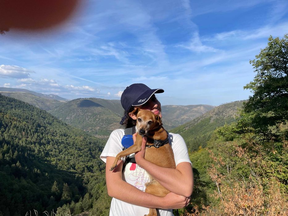 Pet Sitter e Dog Walker AVEIRO