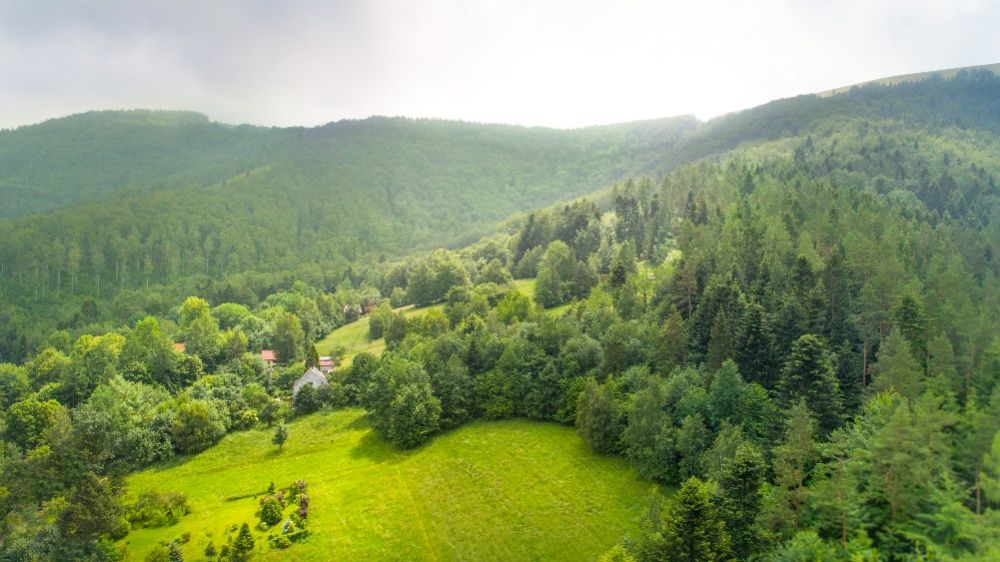 Dom w górach Beskidy • 15 osób • Jacuzzi, Sauna, Kominek, Cały obiekt