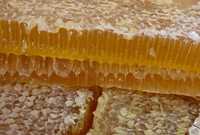 Продам волинський мед з власної пасіки(різнотрав'я)