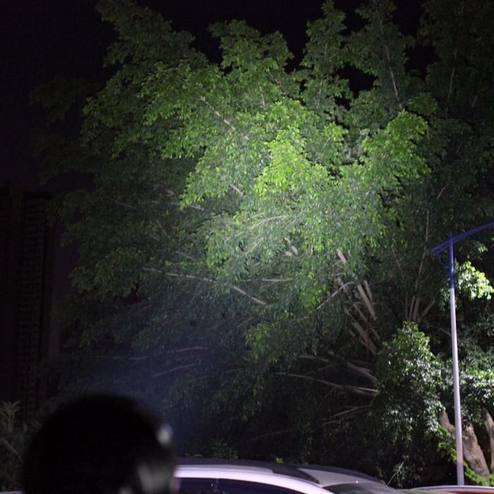 Lanterna led - 8000 lm - 15x cree-t6- caça ao javali