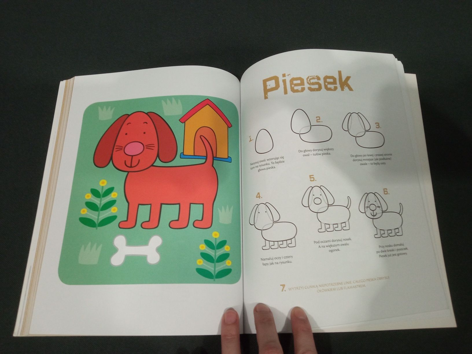 Książka rysowanka/ kolorowanka dla dziecka