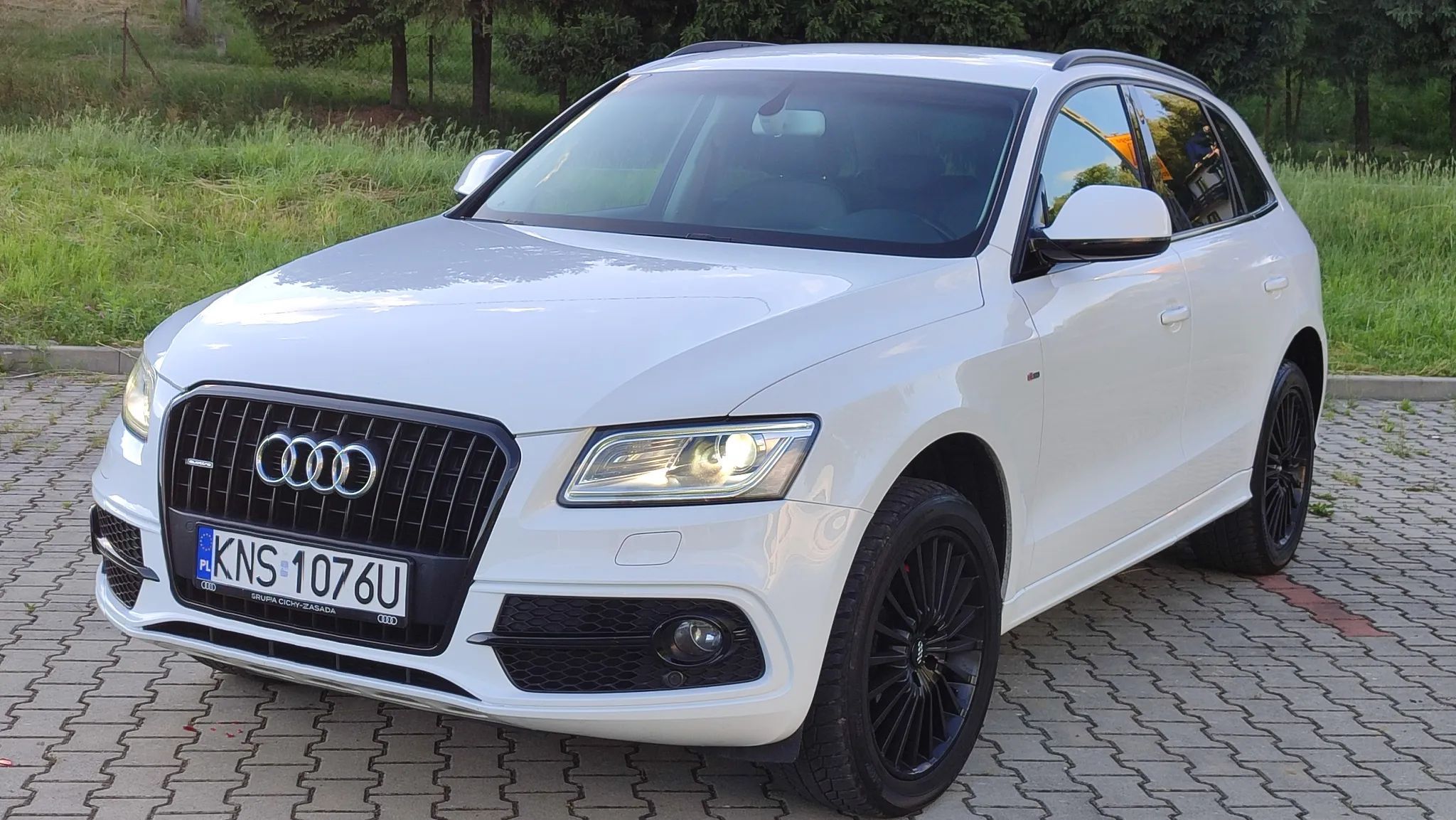 Audi Q5 Audi Q5 quattro 190ps LED navi bi Xenon 2 x s line Black edition