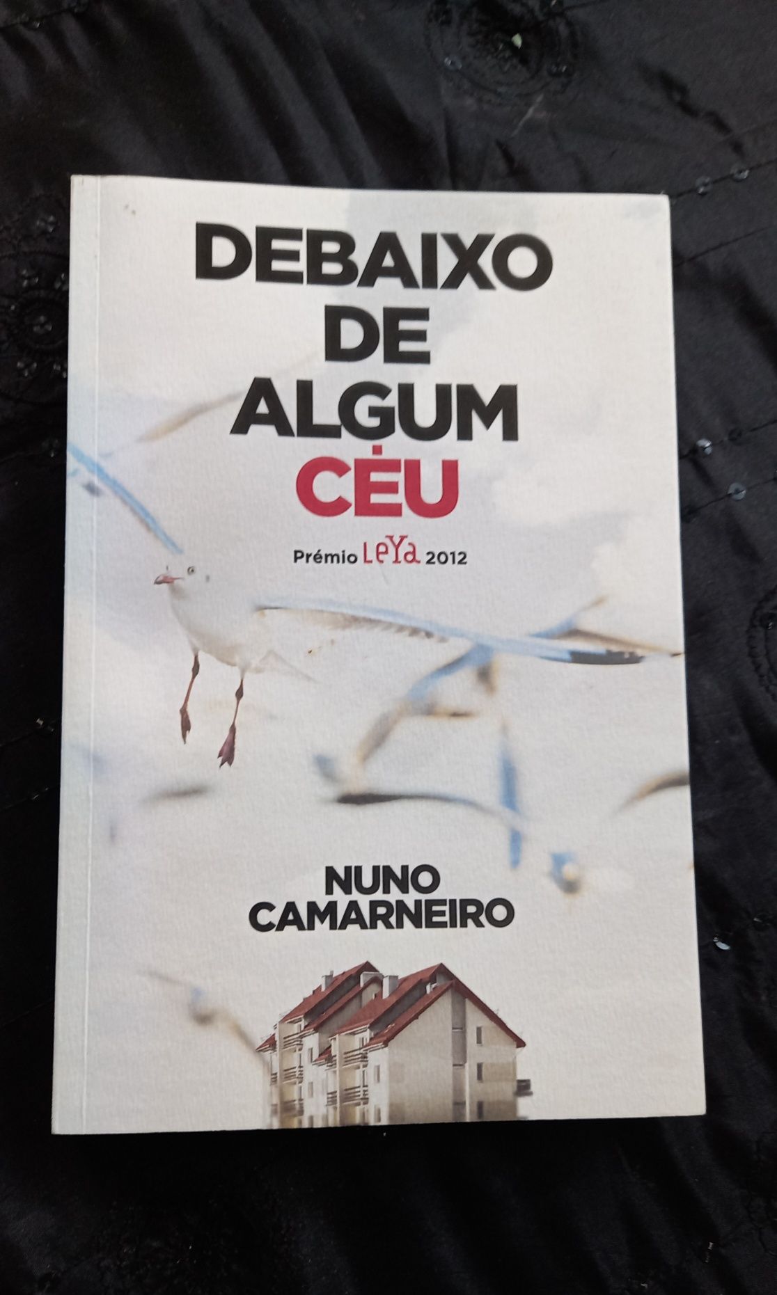 Livro Debaixo de Algum Céu- de Nuno Camarneiro
Prémio Leya 2012