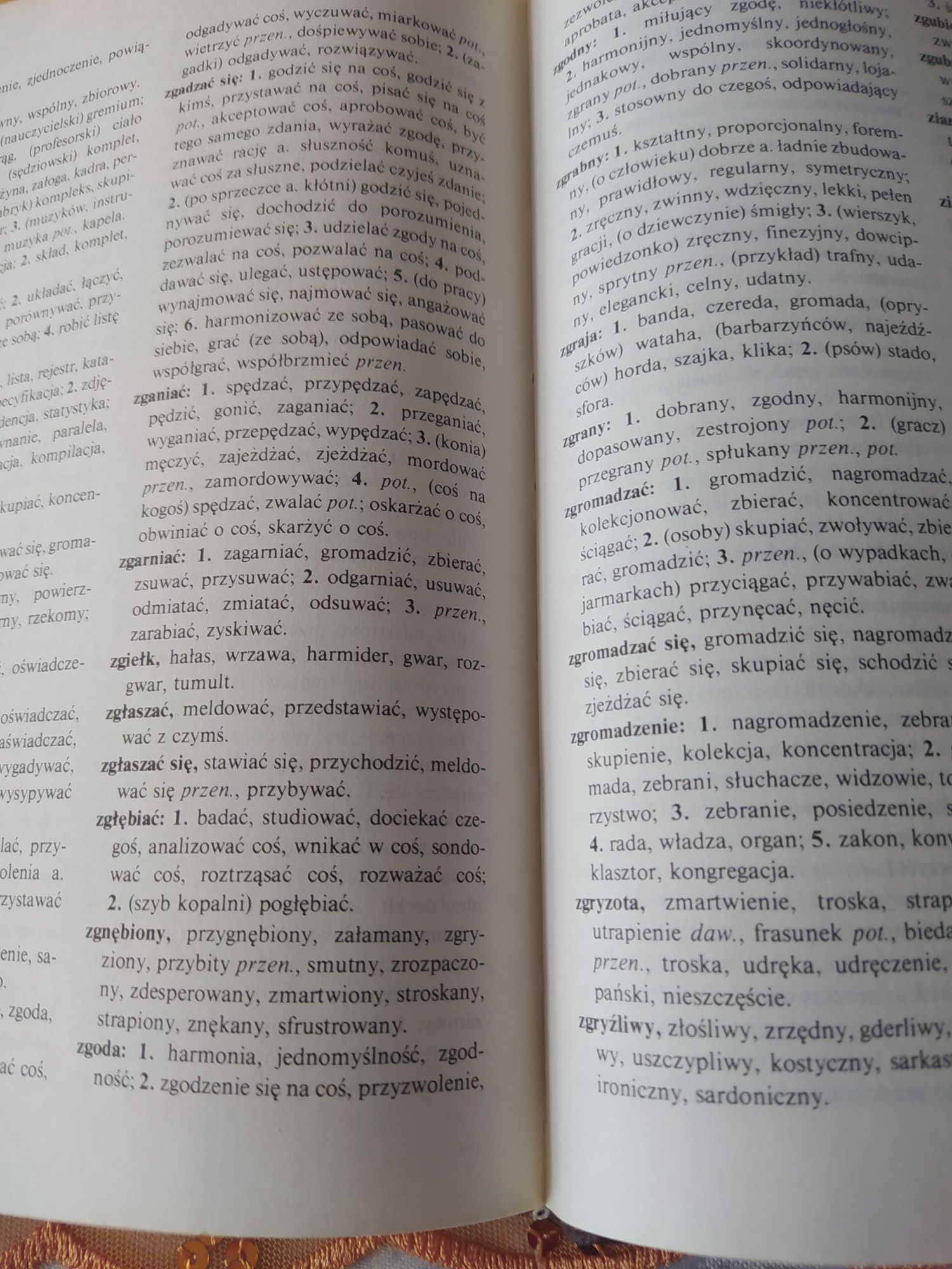 Książka słownik szkolny  Synonimy