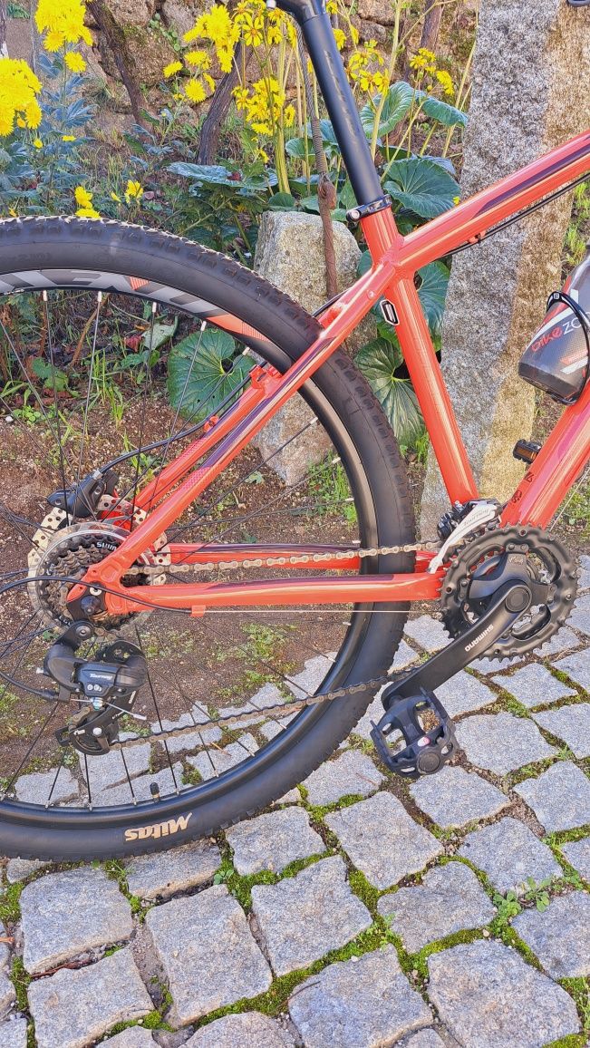 Bicicleta COLUER