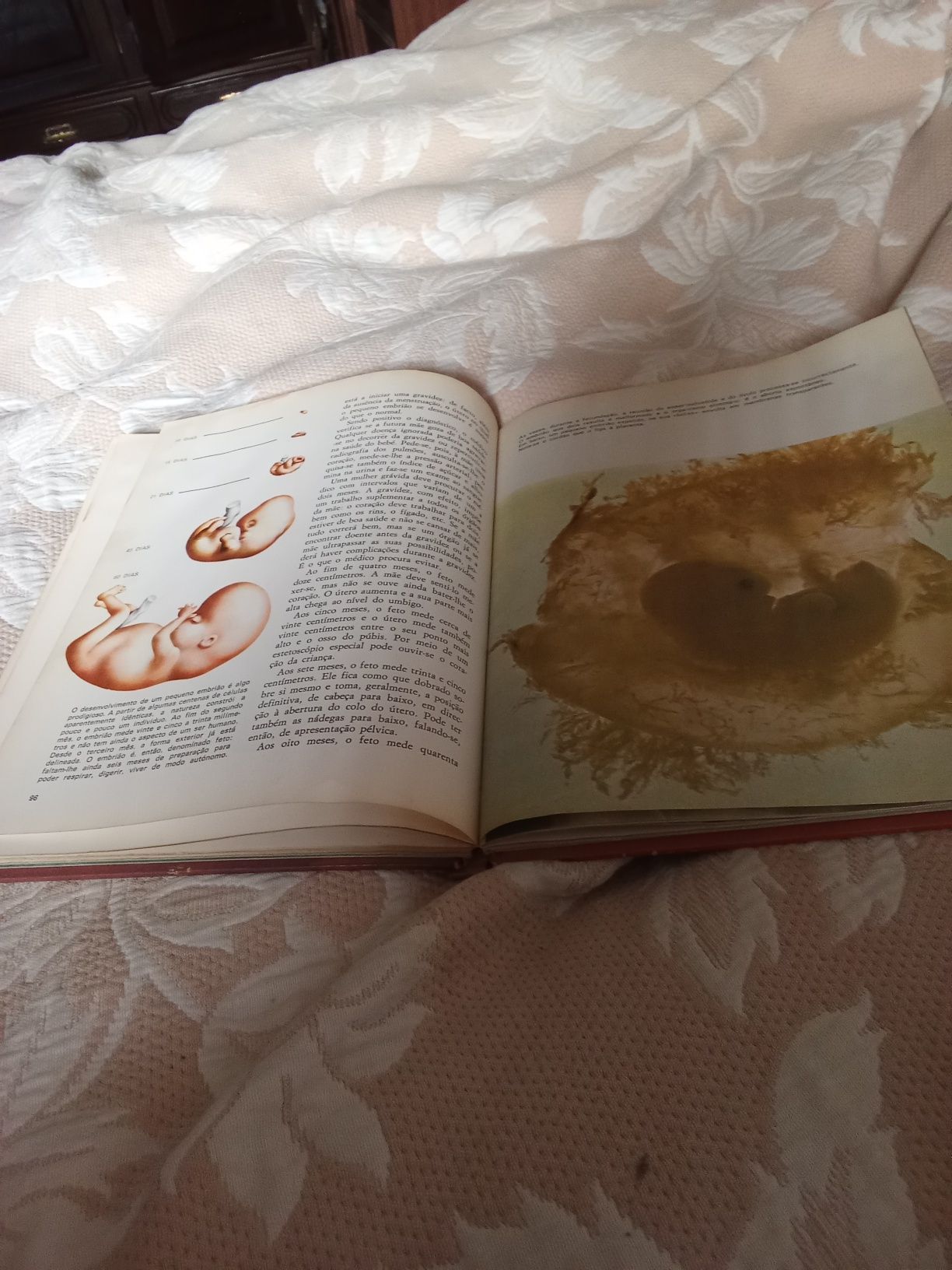 Vendo livro Enciclopedia da vida sexual dos 14 aos 16