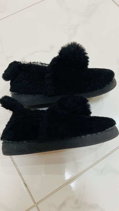 Тарочки кімнатні 19см