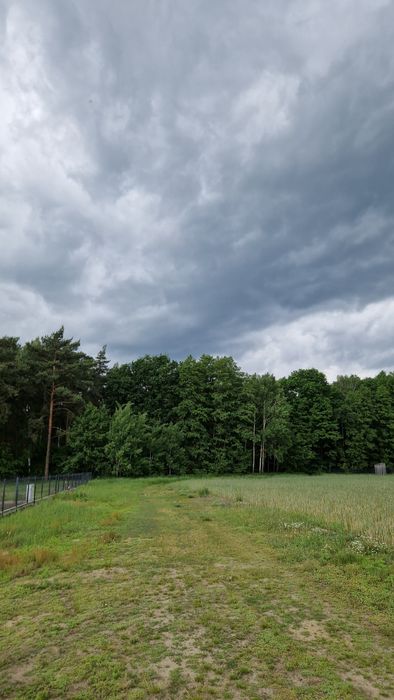 OKAZJA Sprzedam działki budowlane nad jeziorem Powidzkim Naprusewskim