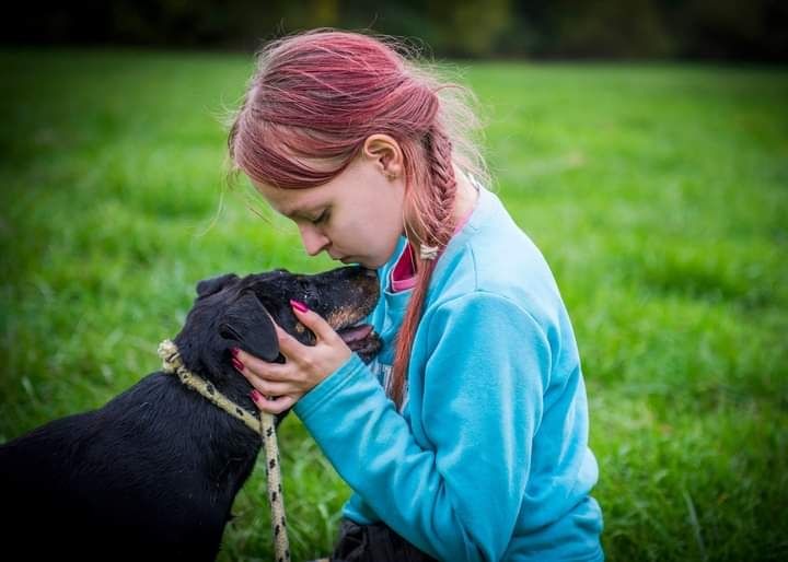 Wspaniały psiak w typie rasy Niemiecki Terrier Myśliwski czeka na Dom!