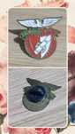 Pin do clube Sport Lisboa Benfica