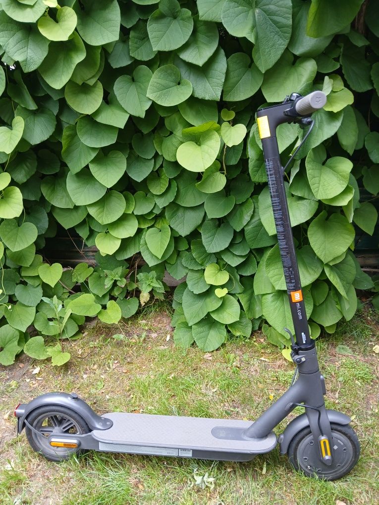 Hulajnoga elektryczna Xiaomi Mi 1s