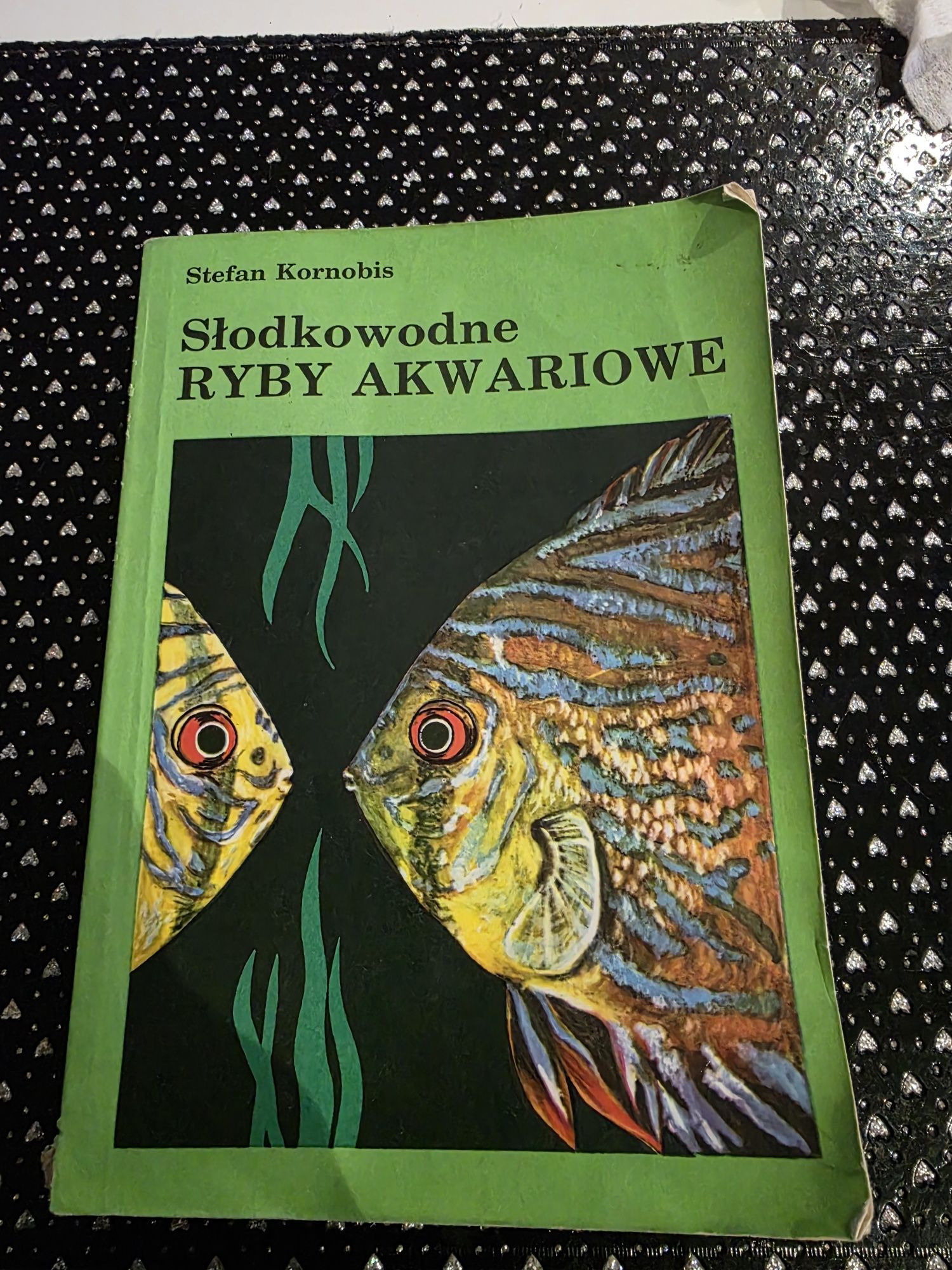 Słodkowodne ryby akwariowe Kornibis