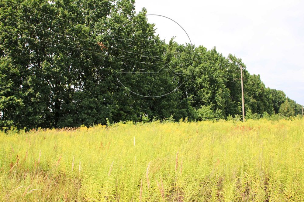 Продаж Ділянки Петрушки 10 соток