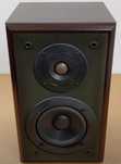 Акустична система Technics SB-CA01A