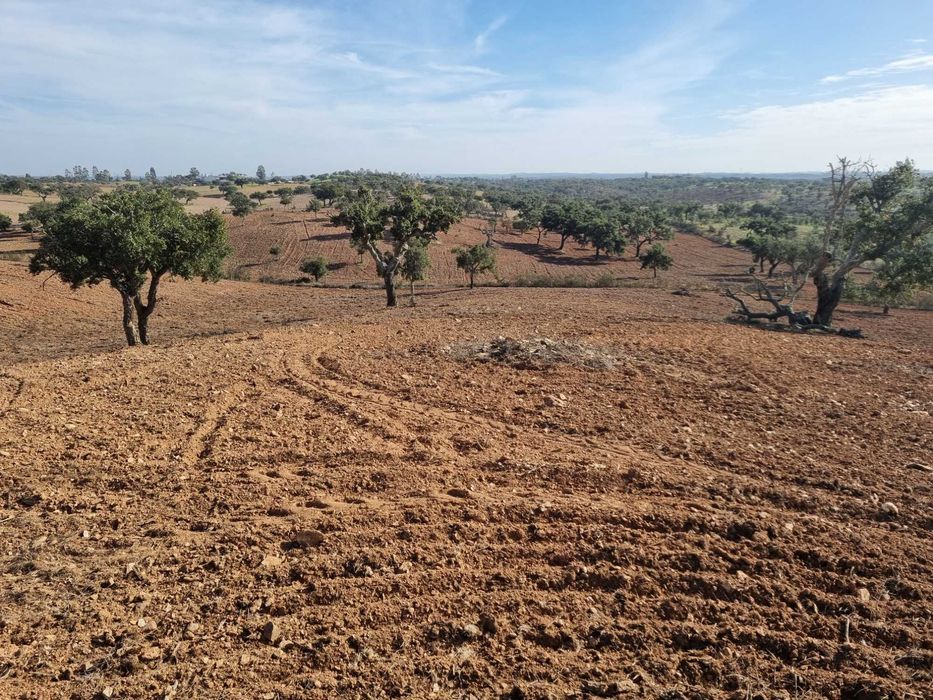 Limpeza de terrenos