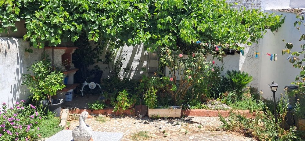 Casa habitável em Alvito com duas propriedades rústicas